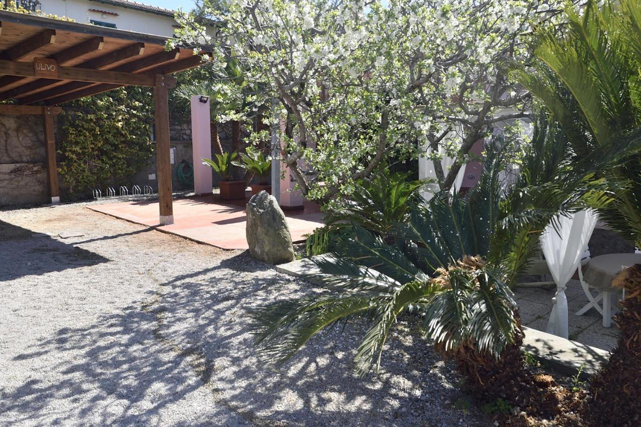 Villa Fiore Apartments Portoferraio Dış mekan fotoğraf