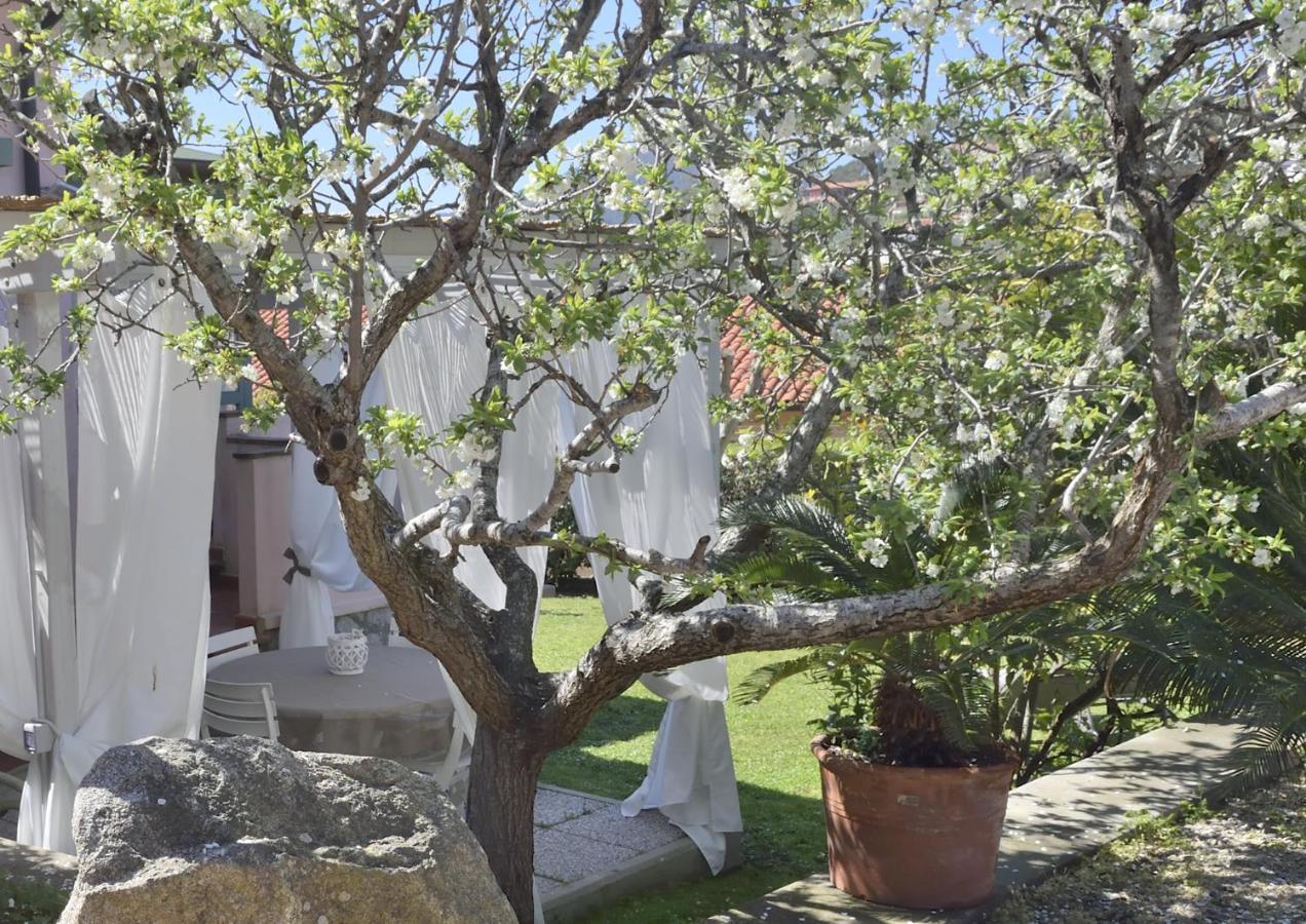 Villa Fiore Apartments Portoferraio Dış mekan fotoğraf