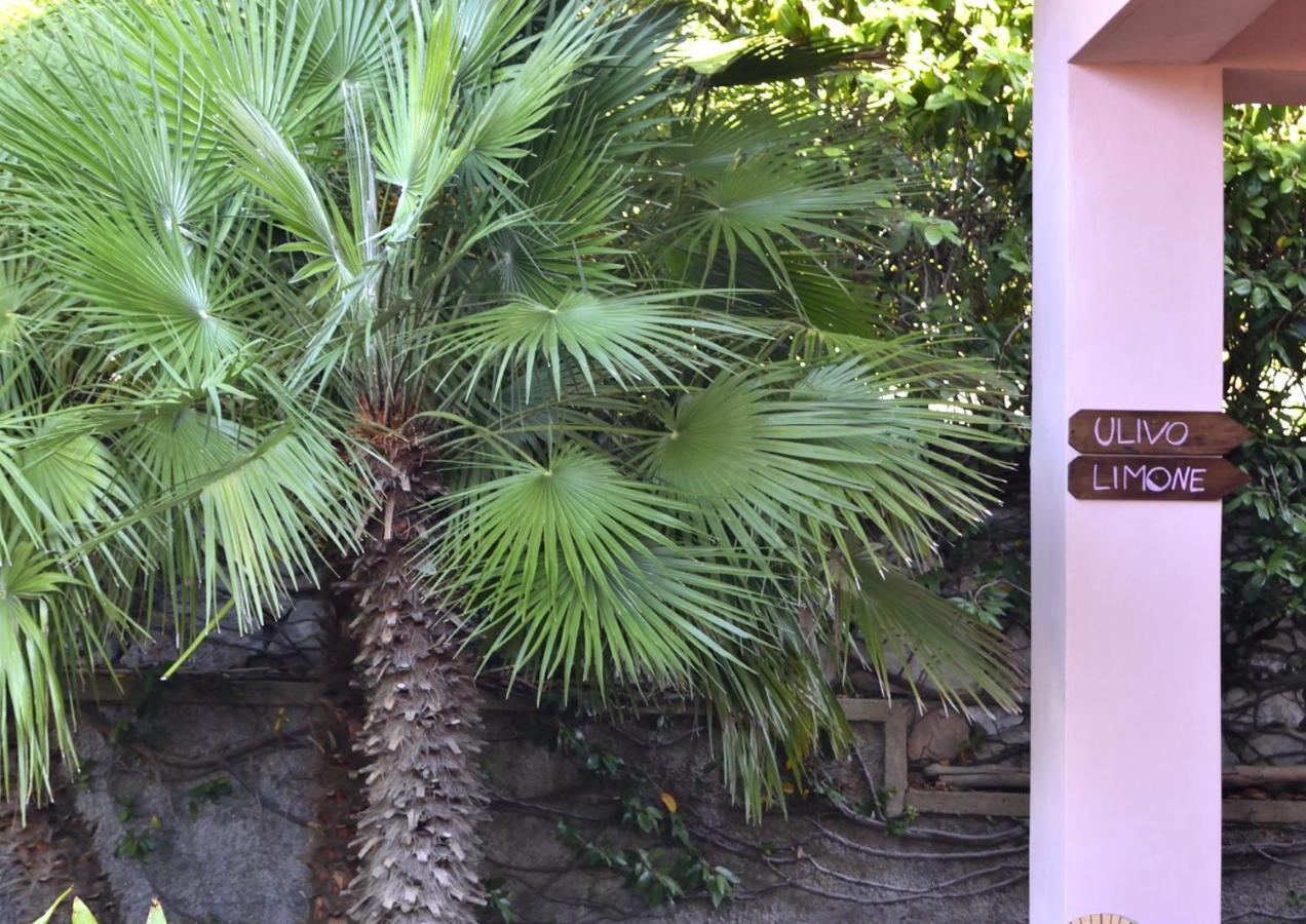 Villa Fiore Apartments Portoferraio Dış mekan fotoğraf